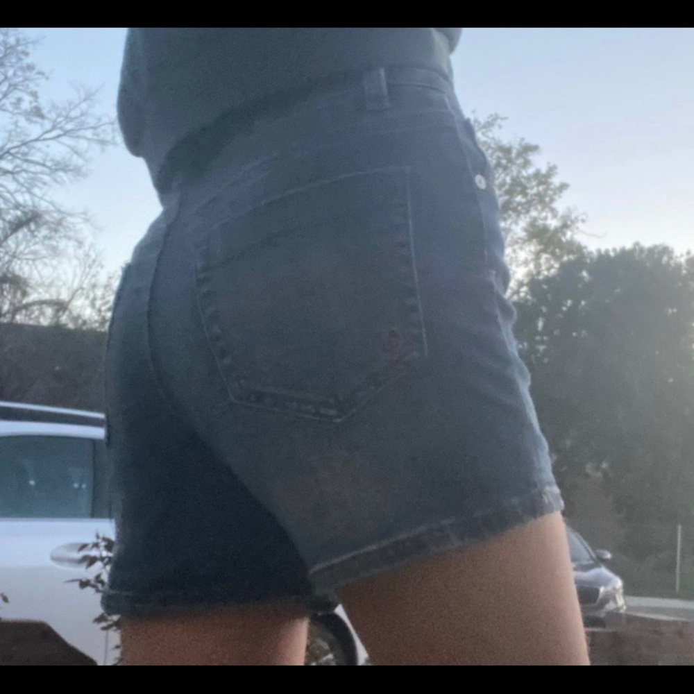 indigo rein shorts✧